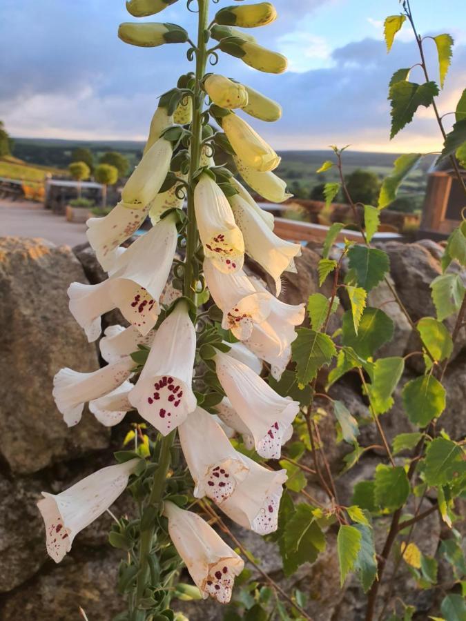 Howgill Farm Bolton Abbey أبليتريويسك المظهر الخارجي الصورة