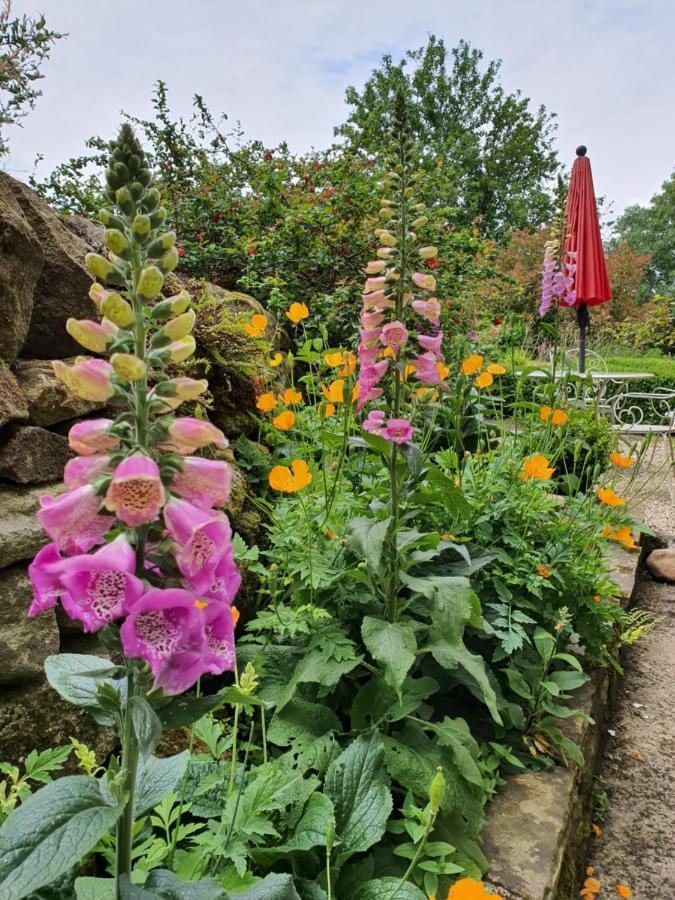 Howgill Farm Bolton Abbey أبليتريويسك المظهر الخارجي الصورة