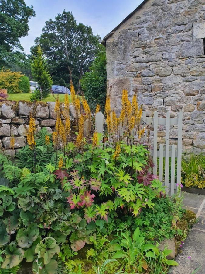 Howgill Farm Bolton Abbey أبليتريويسك المظهر الخارجي الصورة